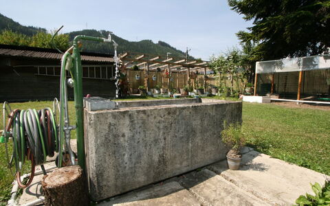Diwani Home Stay Innsbruck: Plante, Himmel, Land Lot, Træ, Vejbelægning, Græs, Landskab, Bygning, Asfalt, Sky