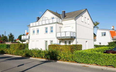 Rollmops: Himmel, Plante, Bygning, Vindue, Hus, Land Lot, Træ, Kvarter, Asfalt, Boligområde