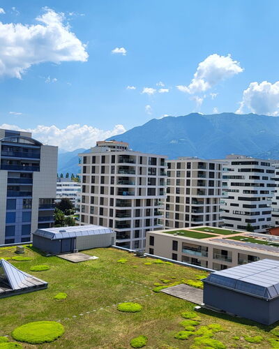 Locarno 50