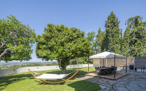 Massarosa Front Lake, The Gargoyles: Træ, Have, Land Lot, Møbel, Skygge, Udendørs Møbler, Lawn, Landscaping, Stol, Gård