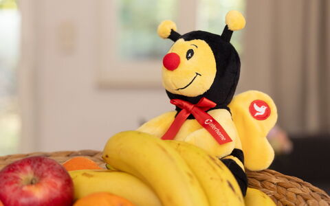 Zinnowitz 161: Mad, Banan, Frugt, Produkt, Naturlige Fødevarer