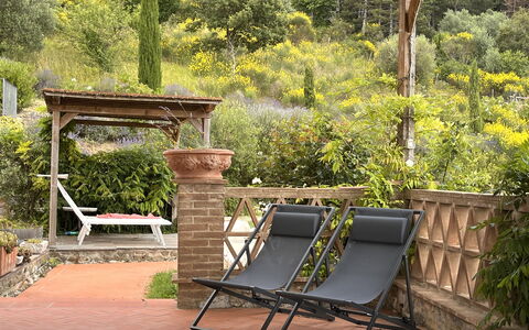 Villa Monticello: Plante, Møbel, Plantesamfund, Udendørs Bench, Udendørs Møbler, Naturlige Landskab, Træ, Græs, Skygge, Træ