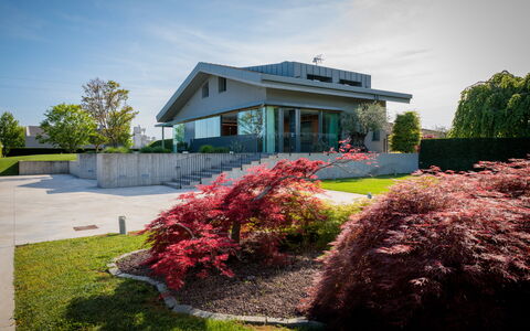 Villa Dalia Venezia: Blomst, Plante, Himmel, Sky, Bygning, Blad, Træ, Vindue, Græs, Hus