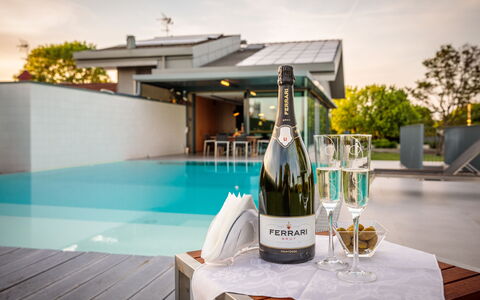 Villa Dalia Venezia: Flaske, Bord, Drinkware, Bordservice, Glas Flaske, Barware, Vin, Plante, Glasservice, Vand