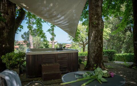 Villa Recanati, Val D'orcia, Private Pool, Jacuzzi: Plante, Bord, Blad, Bygning, Natur, Træ, Botanik, Skygge, Belysning, Træ