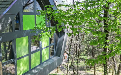 Bosco della Bella 6: Have, Woodland, Garden Bygninger, Skygge, Jungle, Skur, Bjælkehytte, Backyard