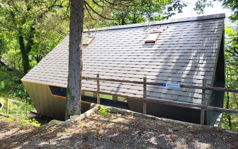 Bosco della Bella 6: Ejendom, Bygning, Plante, Træ, Træ, Hus, Græs, Sidespor, Naturlige Landskab, Sommerhus