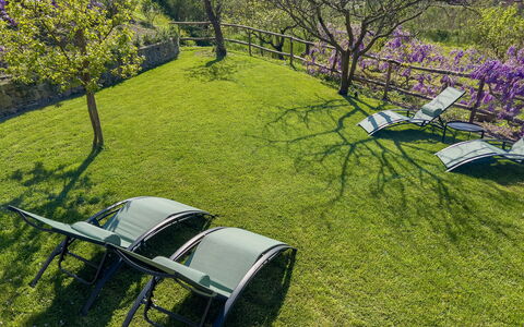 La Casa Dei Glicini - Levanto: Plante, Plantesamfund, Motor Køretøj, Naturlige Landskab, Hjul, Træ, Land Lot, Græs, Busk