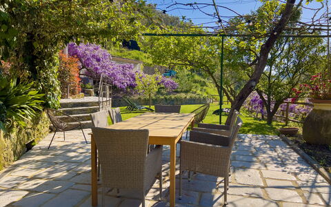 La Casa Dei Glicini - Levanto: Plante, Ejendom, Himmel, Blomst, Purple, Træ, Vejbelægning, Udendørs Bord, Vegetationen, Skygge