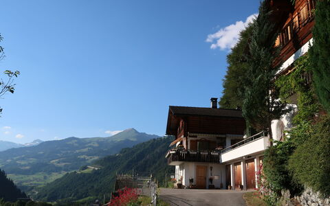 Chalet Bergnest: Blomst, Plante, Plantesamfund, Himmel, Botanik, Kronblad, Natur, Bjerg, Naturlige Landskab, Vegetationen