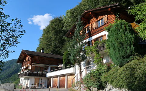 Chalet Bergnest: Blomst, Plante, Plantesamfund, Himmel, Botanik, Kronblad, Natur, Bjerg, Naturlige Landskab, Vegetationen