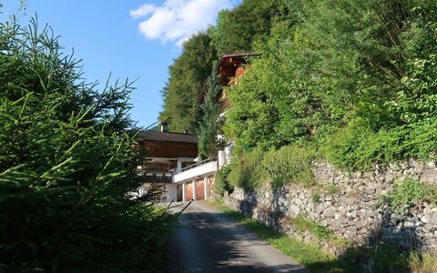 Chalet Bergnest: Blomst, Plante, Plantesamfund, Himmel, Botanik, Kronblad, Natur, Bjerg, Naturlige Landskab, Vegetationen