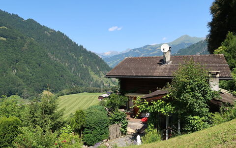 Chalet Bergnest: Blomst, Plante, Plantesamfund, Himmel, Botanik, Kronblad, Natur, Bjerg, Naturlige Landskab, Vegetationen