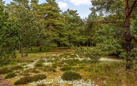 Eliza - 600M from the Sea: Bjergrige Landskabsformer, Bjerg, Bakke, Bjergkæde, Hill Station, Menneskelig Bosættelse, Urban Design, Alps, Dal, Topmøde