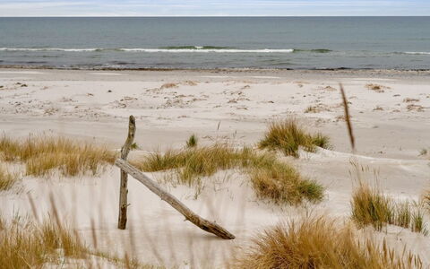 Sanela - 25M from the Sea: Møbel, Indretning, Gulvbelægning, Træ, Etage, Loft, Trægulve, Stol, Bord, Belysning