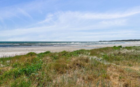 Riitta - 250M from the Sea: Vegetationen, Busk, Forår, Sommerhus, Have, Skygge, Backyard, Gård, Stol