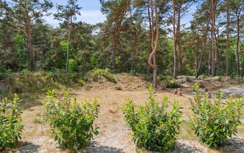 Sjo - 300M from the Sea: Tag, Hus, Land Lot, Hjem, Sommerhus, Estate, Garden Bygninger, Skygge, Bjælkehytte, Landscaping