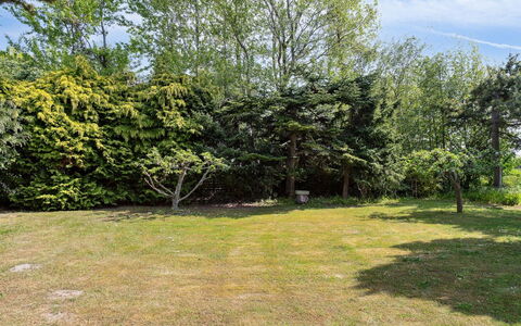 Konrad - 700M from the Sea: Blad, Busk, Have, Vedplante, Lawn, Skygge, Landscaping, Evergreen, Gård