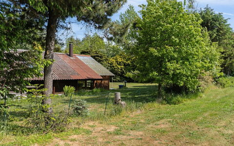 Konrad - 700M from the Sea: Træ, Græs, Naturligt Miljø, Busk, Sommerhus, Landdistrikt, Hus, Land Lot, Græs-