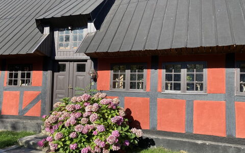 Elvin - 2.7Km from the Sea: Tag, Hjem, Dør, Sommerhus, Skygge, Sidespor, Gård, Estate, Backyard