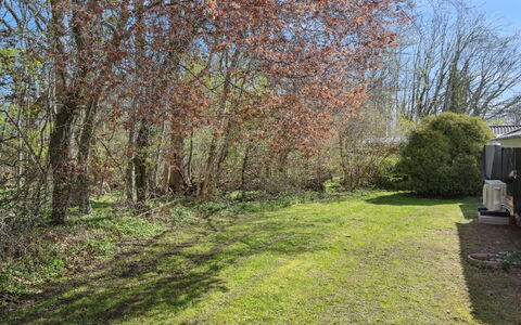 Arnetta - 150M from the Sea: Blad, Afdeling, Busk, Land Lot, Bunddække, Kvist, Lawn, Vedplante, Have