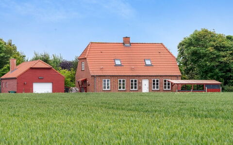 Soria - 600M to the Fjord: Græs, Bygning, Hus, Græs-, Almindeligt, Hjem, Tag, Landdistrikt, Busk