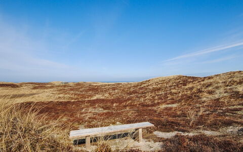Hilmer - 250M from the Sea: Blå, Naturligt Miljø, Økoregion, Horisont, Græs-, Landskab, Almindeligt, Brun, Plantesamfund, Steppe