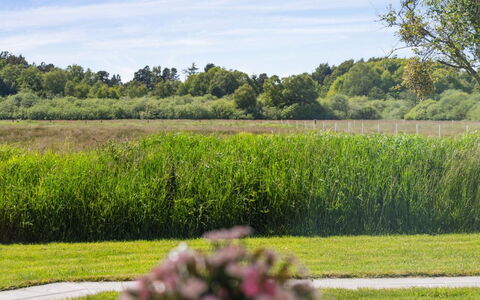 Blondine - 1.4Km from the Sea: Møbel, Couch, Indretning, Gulvbelægning, Stue, Etage, Throw Pillow, Værelse, Pude