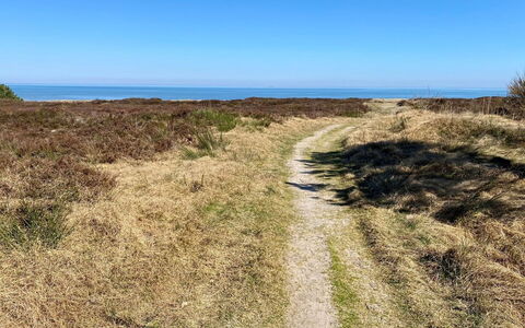 Ilenia - 150M from the Sea: Møbel, Indretning, Gulvbelægning, Træ, Etage, Loft, Trægulve, Stol, Bord, Belysning