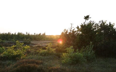 Blakke - 200M from the Sea: Svømmepøl, Udendørs Møbler, Møbel, Udvej, Flise, Eco Hotel, Skygge, Stol, Fritid, Estate