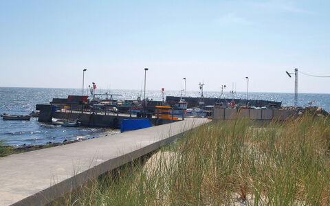 Kolle - 3.2Km from the Sea: Hus, Hjem, Tag, Sommerhus, Estate, Landscaping, Garden Bygninger, Sidespor, Stuehus