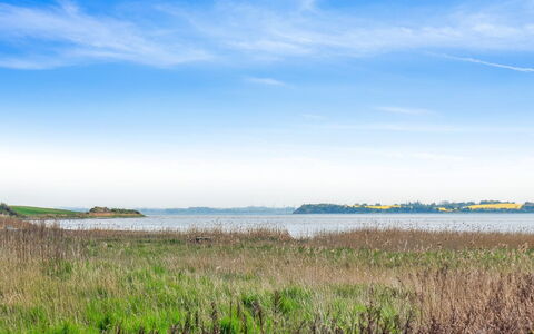 Vemund - 100M to the Fjord: Tag, Hus, Land Lot, Hjem, Sommerhus, Estate, Garden Bygninger, Skygge, Bjælkehytte, Landscaping