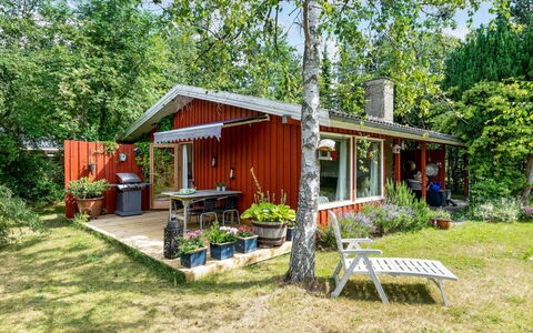Naili - 750M from the Sea: Træ, Hus, Busk, Sommerhus, Hjem, Tag, Land Lot, Have, Landdistrikt