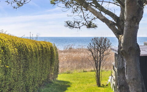 Gisella - 200M from the Sea: Græs, Græs-, Landskab, Økoregion, Almindeligt, Plantesamfund, Land Lot, Udendørs Møbler, Prærie, Shrubland