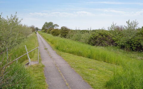 Quanna - 50M from the Sea: Græs, Grøn, Naturlige Landskab, Vegetationen, Græs-, Busk, Økoregion, Almindeligt, Land Lot, Plantesamfund