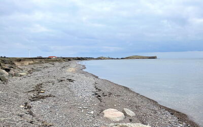 Ottmar - 150M from the Sea