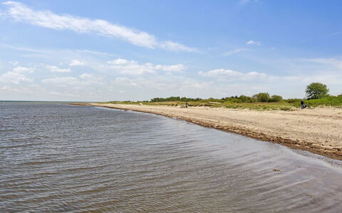 Ika - 450M from the Sea: 