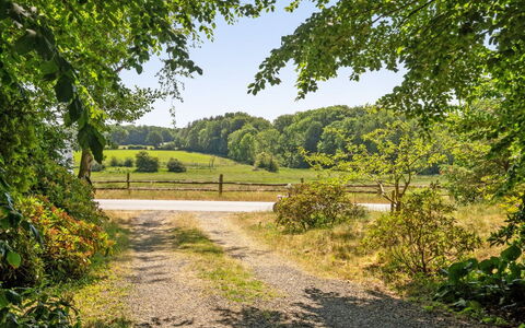 Kennet - 30M from the Sea: Grøn, Træ, Blad, Græs, Natur, Naturlige Landskab, Vegetationen, Busk, Vej