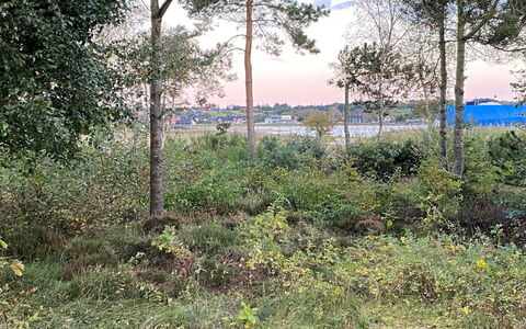 Bosi - 100M to the Fjord: Græs, Grøn, Hus, Sommerhus, Græs-, Landdistrikt, Økoregion, Landskab, Land Lot, Busk