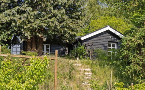 Teijo - 2.5Km from the Sea: Blad, Afdeling, Busk, Hus, Sommerhus, Hjem, Landdistrikt, Forår, Have, Skygge