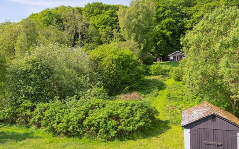Ginne - 100M to the Fjord: Græs, Grøn, Hus, Sommerhus, Græs-, Landdistrikt, Økoregion, Landskab, Land Lot, Busk