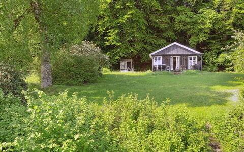 Ginne - 100M to the Fjord: Grøn, Træ, Blad, Vegetationen, Busk, Have, Plantesamfund, Sommerhus, Bunddække, Landdistrikt