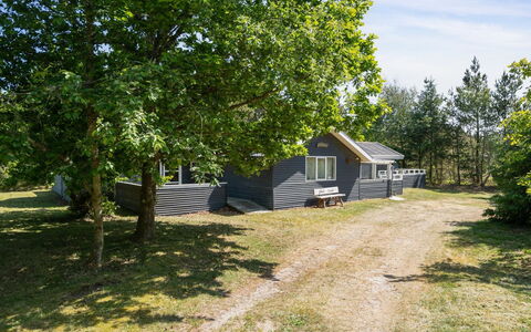 Aneline - 700M from the Sea: Græs, Grøn, Hus, Sommerhus, Græs-, Landdistrikt, Økoregion, Landskab, Land Lot, Busk