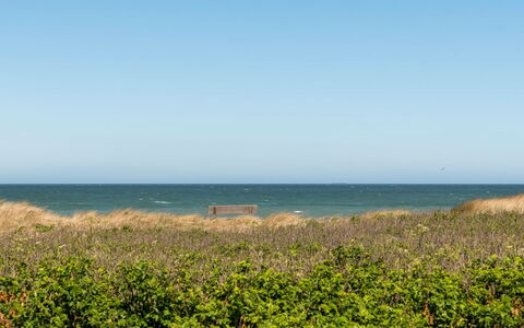Minka - 58M from the Sea: Blå, Vand, Grøn, Horisont, Sommer, Hav, Økoregion, Kyst, Græs-