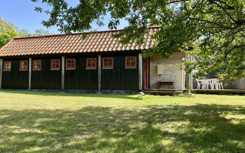 Henke - 100M from the Sea: Græs, Træ, Tag, Land Lot, Landdistrikt, Almindeligt, Skur, Hjem, Bunddække, Sommerhus