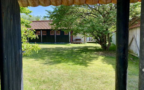 Henke - 100M from the Sea: Tag, Land Lot, Skygge, Landdistrikt, Backyard, Lawn, Have, Sommerhus, Gård, Landscaping