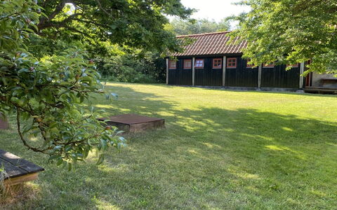 Henke - 100M from the Sea: Græs, Træ, Land Lot, Lawn, Have, Landdistrikt, Bunddække, Skygge, Backyard