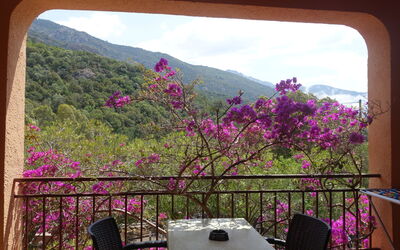 Feriebolig:&nbsp;Residence Cabanaccia Studio 35M² 300.5