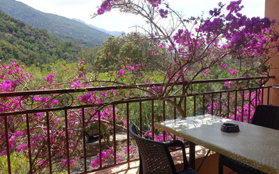Feriebolig:&nbsp;Residence Cabanaccia Studio 35M² 300.5