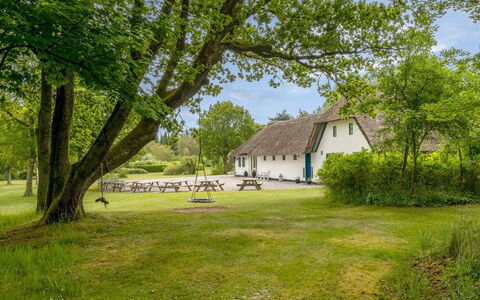 Tatiane - 10Km from the Sea: Tag, Hus, Hjem, Sommerhus, Sidespor, Estate, Indkørsel, Garden Bygninger, Gård, Skur